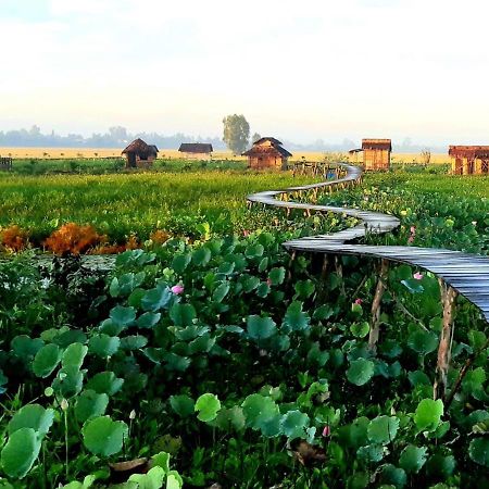Viet Mekong Farmstay Tràm Chim Eksteriør billede