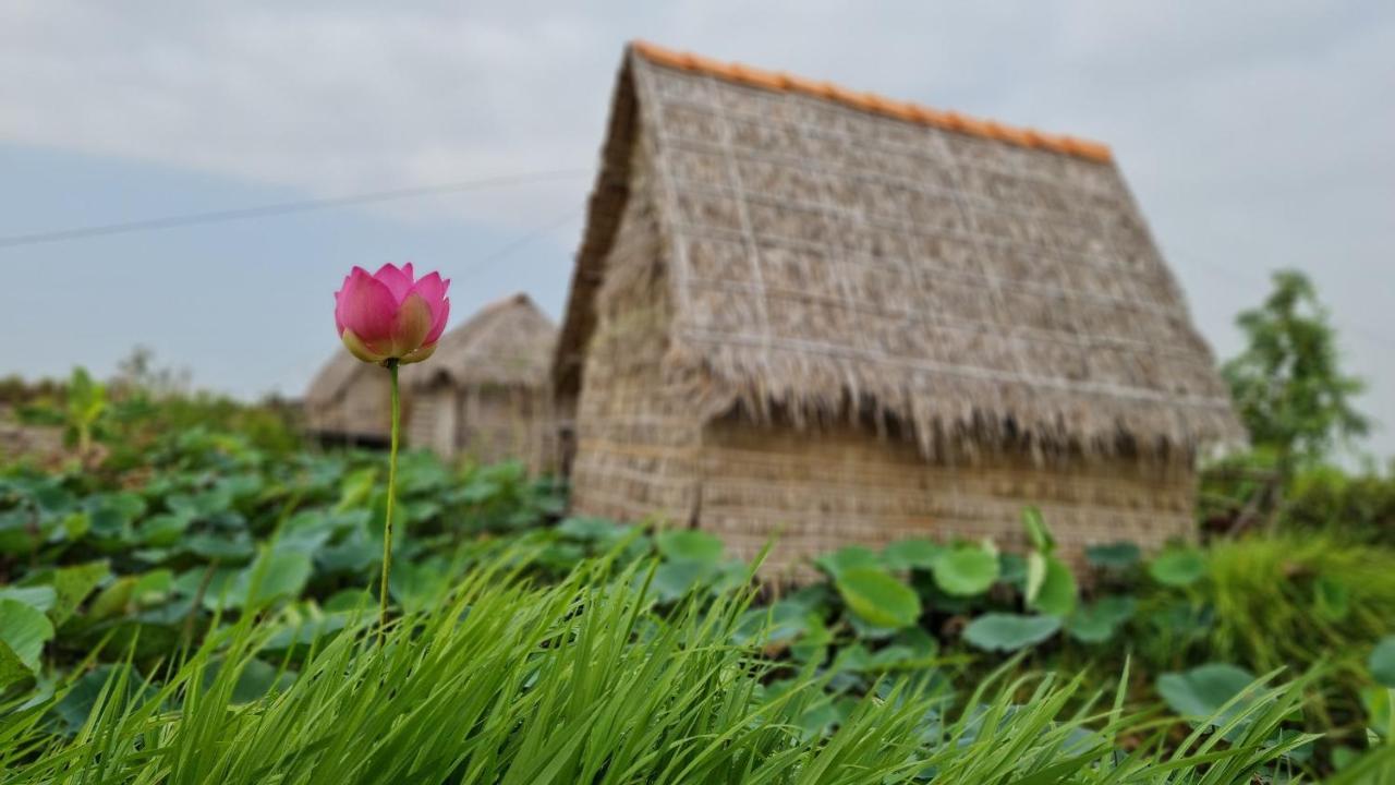 Viet Mekong Farmstay Tràm Chim Eksteriør billede